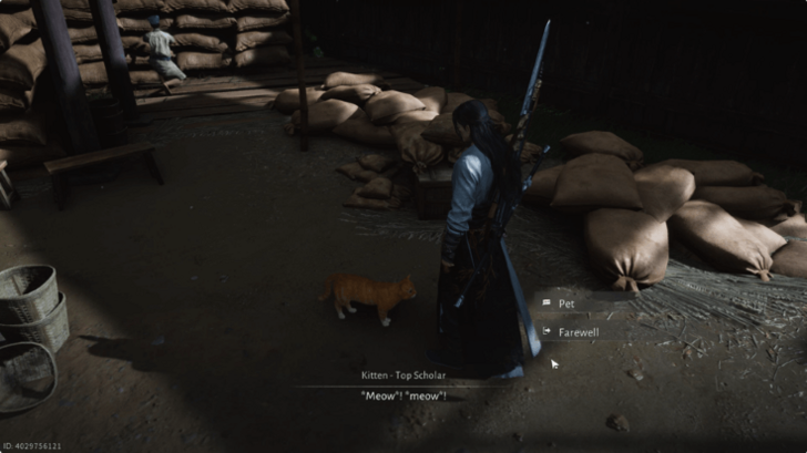 Kitten - Top Scholar