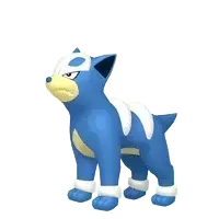 Shiny Houndour