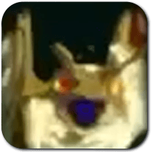 Electric Aerocuda Icon