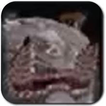 Blue-White Frox Icon