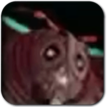 Moth Gibdo Image