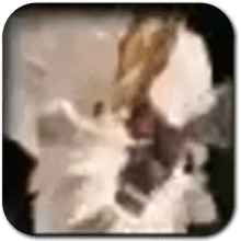 Hyrule Warriors Age of Imprisonment - White-Maned Lynel