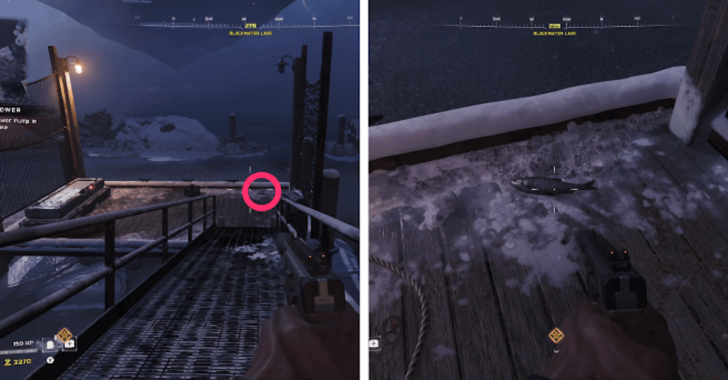 CoD BO7 Fish Location