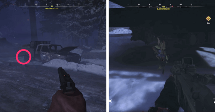 CoD BO7 Berry Plant Location