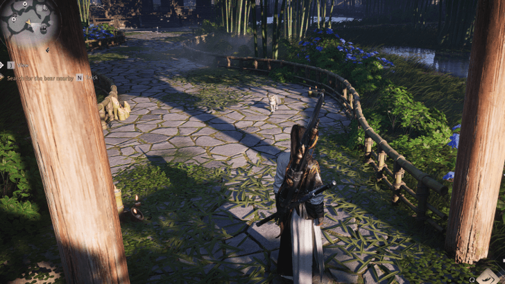 Kitten - Virtuous Paw