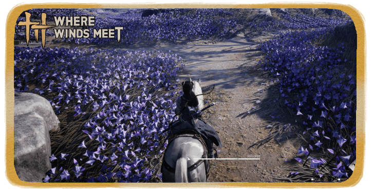 How to Get Mount Early