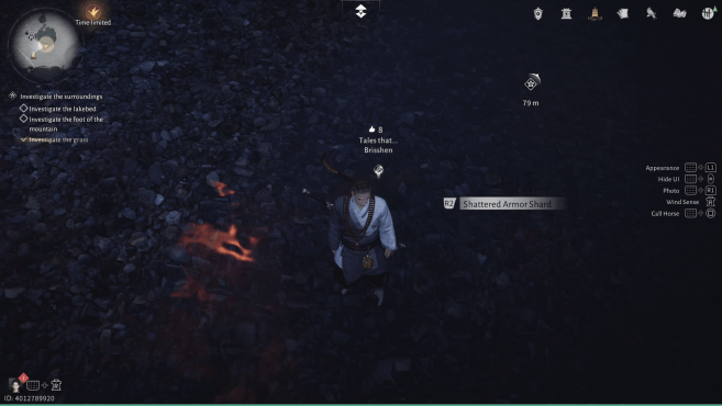 Shattered Armor Shard