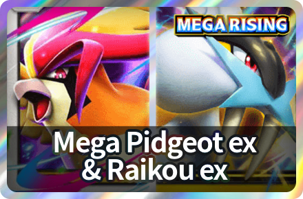 Mega Pidgeot ex and Raikou ex Deck