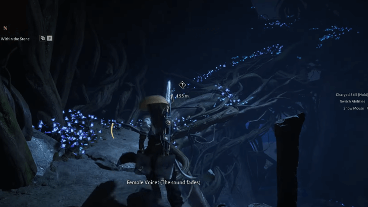 WWM - Run Up the Roots