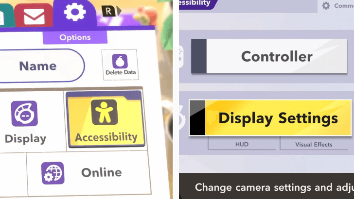 Accessibility Display Settings
