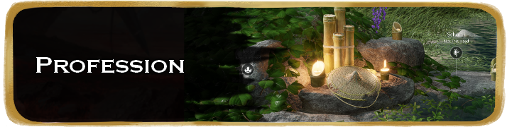 Profession Partial