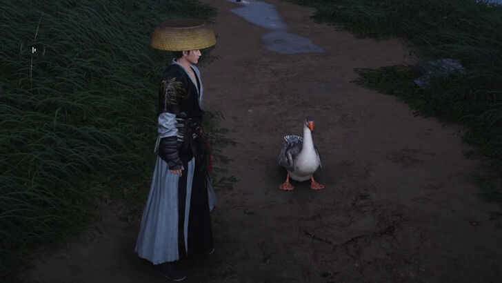 Goose Companion