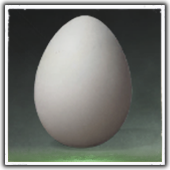 Sturdy Goose Egg Image