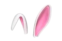 Bunny Ears