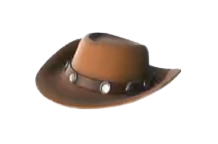 Cowboy Hat