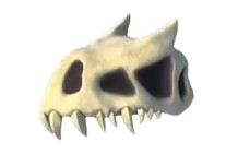 Dino Skull