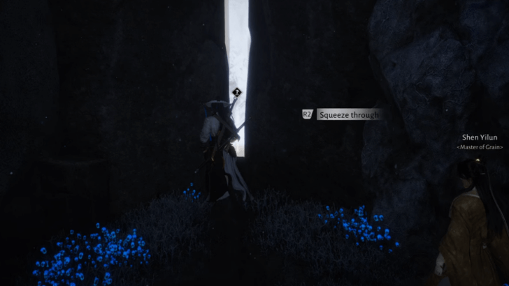 WWM - Go Through the Crevice