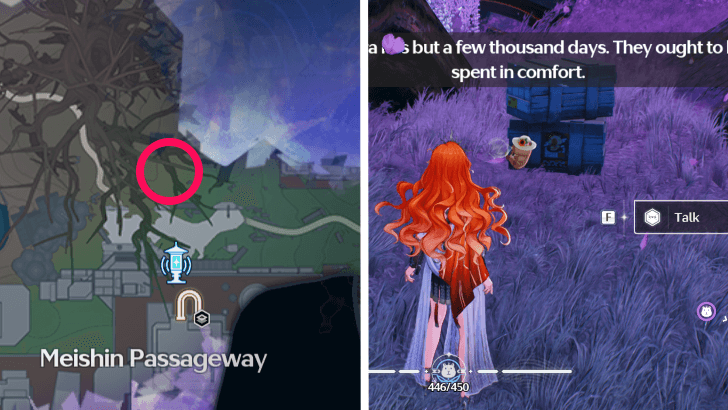 Vacationer Capybara Location