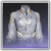 Celestial Vanguard Outfit F