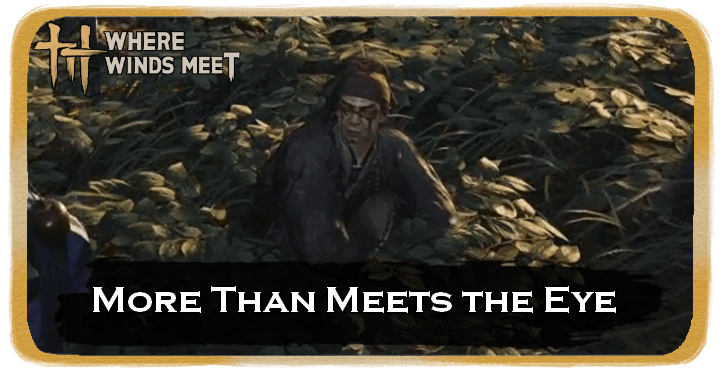 More Than Meets the Eye Banner