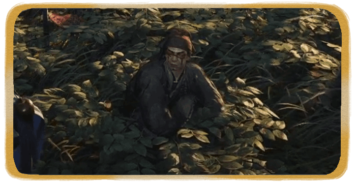 WWM - More Than Meets the Eye