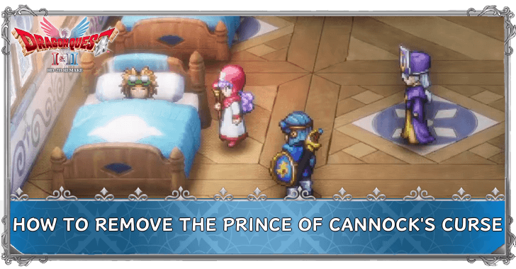 DRAGON QUEST I & II HD-2D Remake How to Remove the Prince of Cannock
