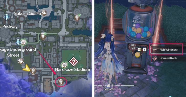 Fish Windsock Location