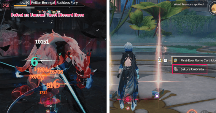 Sakura Umbrella Location