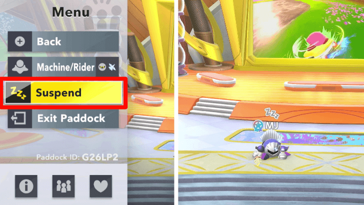 Go to Sleep in the Paddock