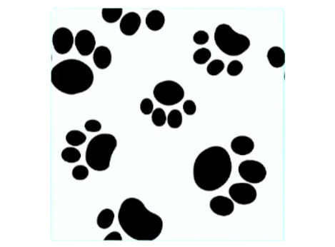 Pattern (Dog Footprints)