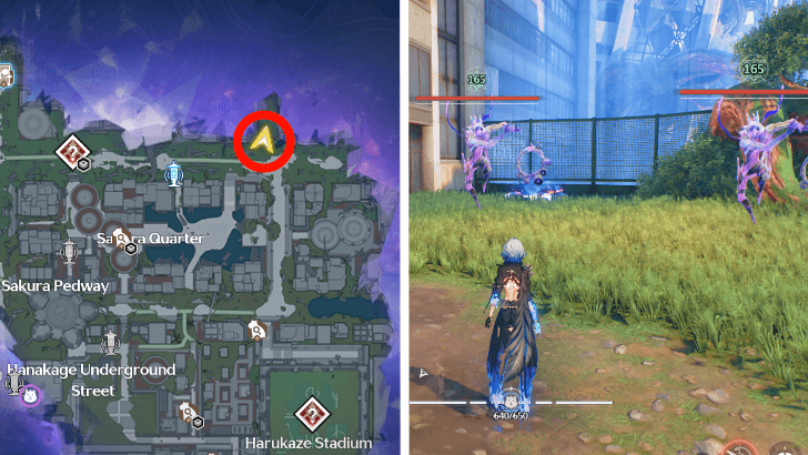 Wuthering Waves - Sakura Quarter Chest 3