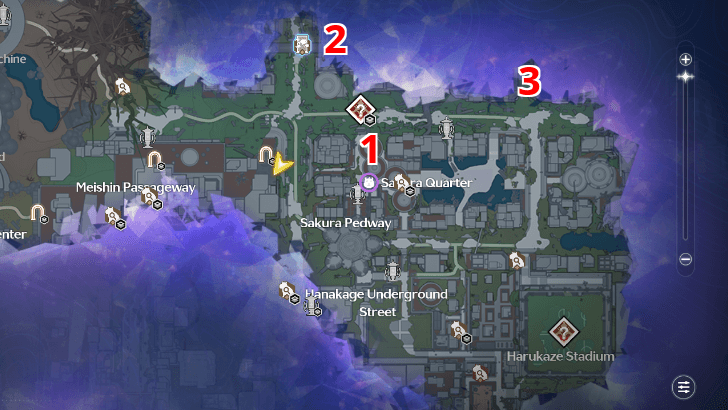 Wuthering Waves - Sakura Quarter Chest Flat Map