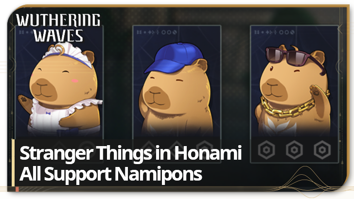 Wuthering Waves - List of All Support Namipon