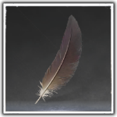 Short Feather Image