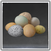 Eggs Image