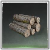 Zelkova Wood Image