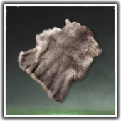Bear Pelt Image