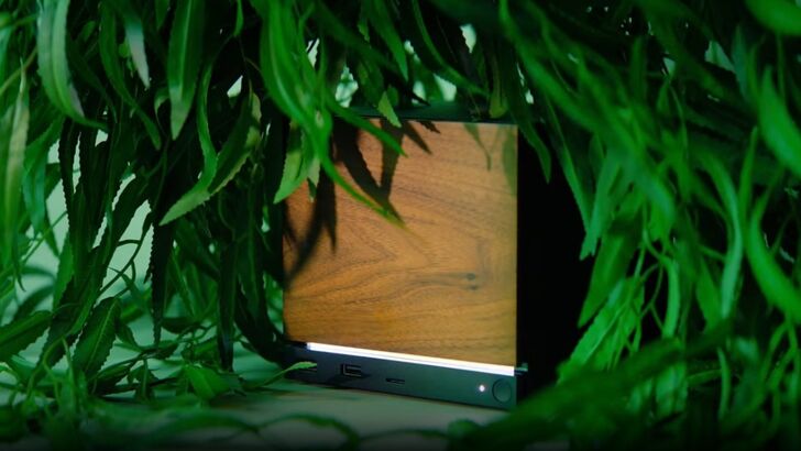 Steam Machine Covered In Grass