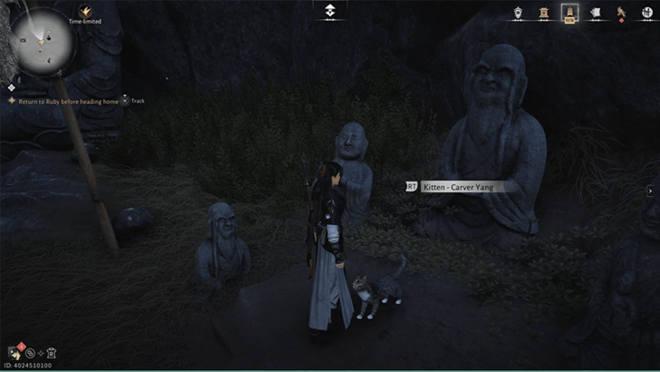 Kitten - Carver Yang