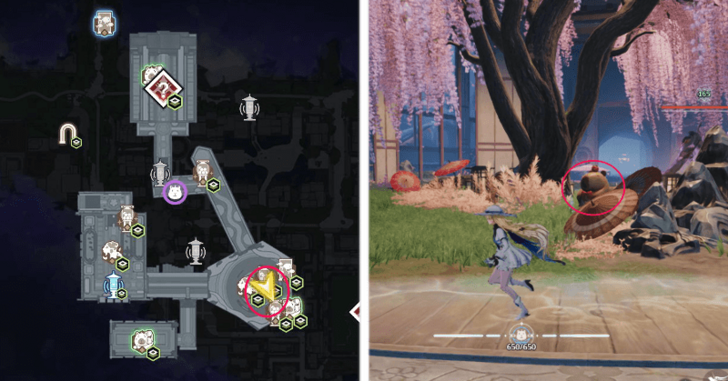 Head to the Cherry Blossom Tree