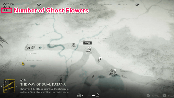 Tracking Ghost Flowers.png