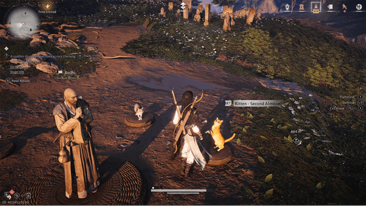 Kitten - Second Almoner