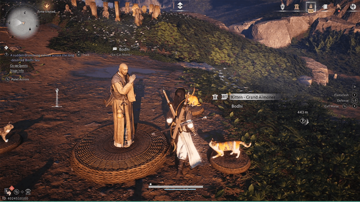 Kitten - Grand Almoner