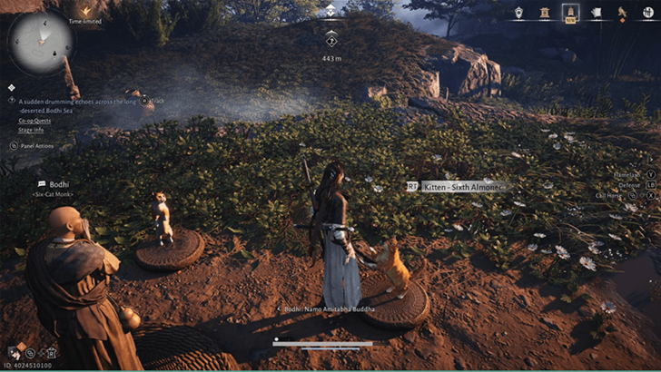 Kitten - Sixth Almoner