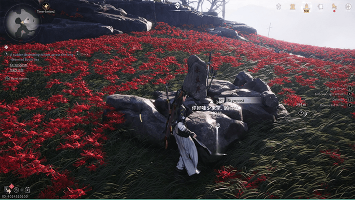 Floral Expanse Beyond