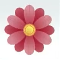 Decal (Pink Flower)