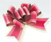 Accessory (Ribbon)
