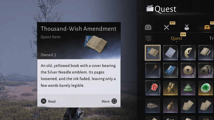 WWM - Read the Thousand-Wish Amendment
