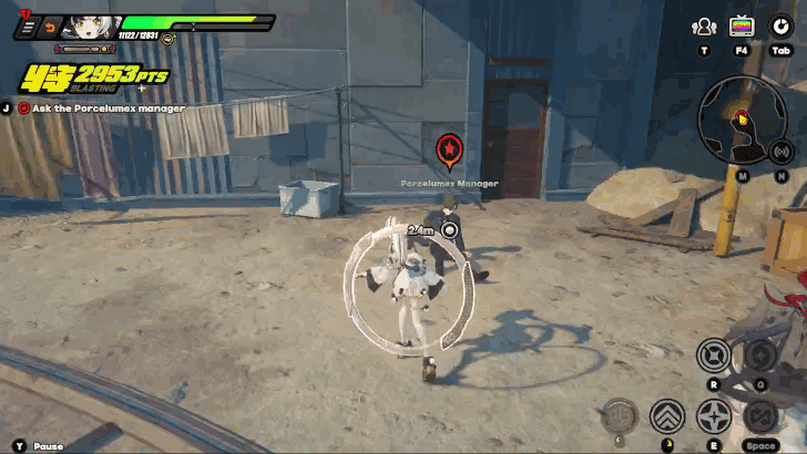 Ask the Porcelumex Manager