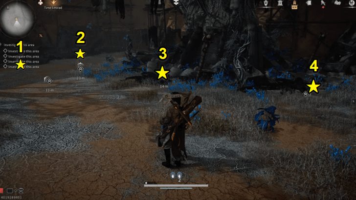 WWM - Investigate the Area